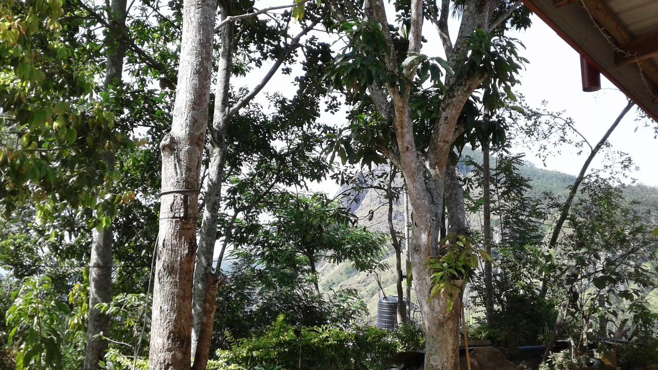 Jaye Homestay エッラ エクステリア 写真